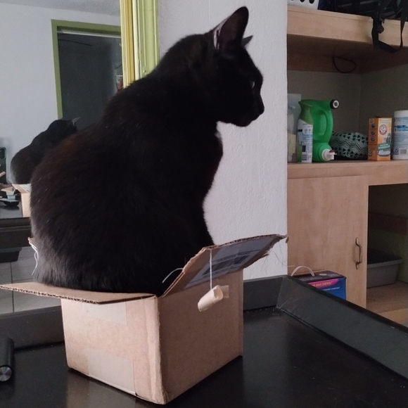 Meet your Posher, Cheri - Picture 8 of 15